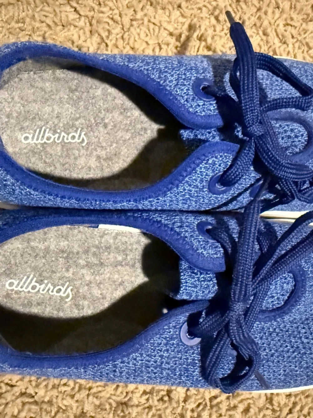 Allbirds Tree Skippers (Men size 10)